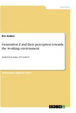 Generation Z and their perception towards the working environment