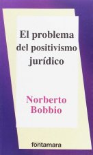 EL PROBLEMA DEL POSITIVISMO JURIDICO
