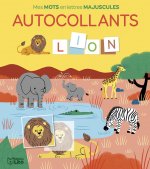 MES MOTS EN LETTRES MAJ-ANIMAU