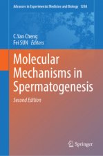 Molecular Mechanisms in Spermatogenesis