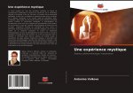 experience mystique