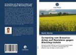 Screening von Brassica-Arten auf Resistenz gegen Blackleg-Isolate