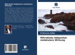 Mikrobiota Adipositas molekulare Wirkung