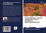 Китай-Африка