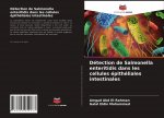 Detection de Salmonella enteritidis dans les cellules epitheliales intestinales