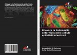 Rilevare la Salmonella enteritidis nelle cellule epiteliali intestinali