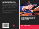 Aspectos essenciais de uma reforma eficaz da justica penal