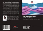 Les mesaventures endodontiques