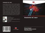 Anatomie du coeur