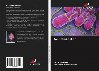 Acinetobacter