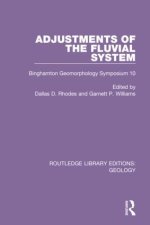 Adjustments of the Fluvial System