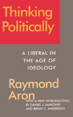 Thinking Politically