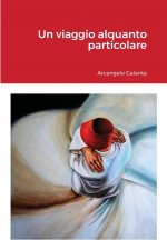 viaggio alquanto particolare
