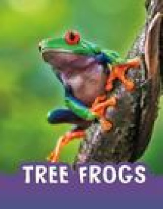 Tree Frogs