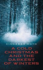 Cold Christmas and the Darkest of Winters
