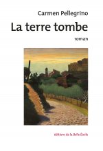 Le petit sapin et ses aiguilles