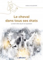 Le cheval dans tous ses états