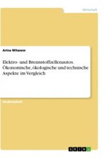 Elektro- und Brennstoffzellenautos. Ökonomische, ökologische und technische Aspekte im Vergleich