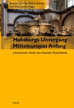 Habsburgs Untergang - Mitteleuropas Anfang