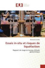 Essais in-situ et risques de liquefaction