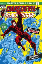 Daredevil : L'intégrale 1973-1974 (T09)