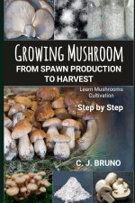 Growing Mushroom From Spawn Production to Harvest