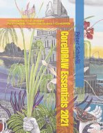 CorelDRAW Essentials 2021 - Schulungsbuch mit UEbungen