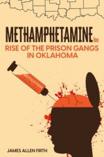Methamphetamine Inc