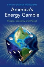 America's Energy Gamble