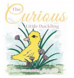 Curious Little Duckling