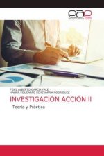 Investigacion Accion II