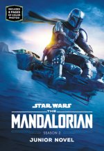 Mandalorian Season 2 Junior Novel