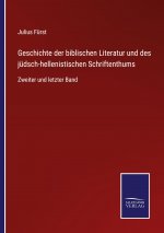 Geschichte der biblischen Literatur und des judsch-hellenistischen Schriftenthums