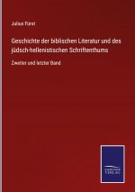 Geschichte der biblischen Literatur und des judsch-hellenistischen Schriftenthums