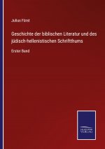 Geschichte der biblischen Literatur und des judisch-hellenistischen Schriftthums