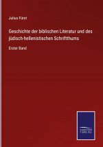 Geschichte der biblischen Literatur und des judisch-hellenistischen Schriftthums