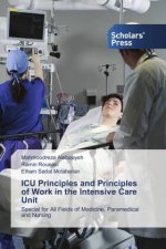 ICU Principles and Principles of Work in the Intensive Care Unit