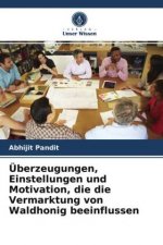UEberzeugungen, Einstellungen und Motivation, die die Vermarktung von Waldhonig beeinflussen