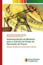 Implementacao de Modelos para o Calculo do Ponto de Operacao de Pocos