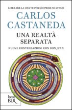 realtà separata. Nuove conversazioni con don Juan