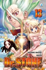 Dr. Stone