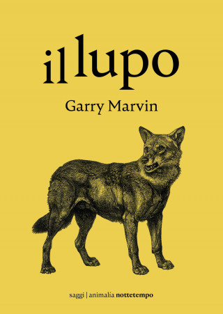 lupo