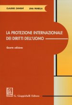 protezione internazionale dei diritti dell'uomo