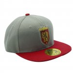 HARRY POTTER - Snapback Cap - Grey & Red - Gryffindor x2*
