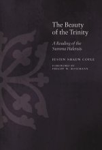 The Beauty of the Trinity: A Reading of the Summa Halensis
