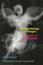 Grammatology of Images