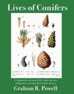 Lives of Conifers: A Comparative Account of the Coniferous Trees Indigenous to Northeastern North America
