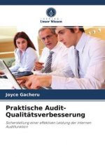 Praktische Audit-Qualitatsverbesserung