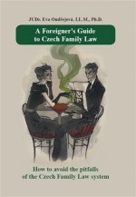 A Foreigner's Guide to Czech Family Law