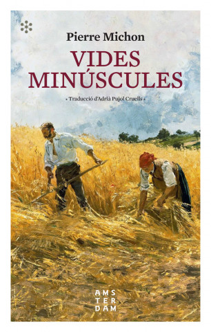 VIDES MINUSCULES